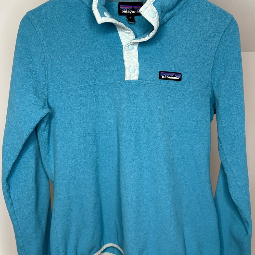 Patagonia Teal Fleece Pullover